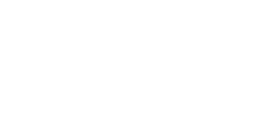 广州蓝鼎